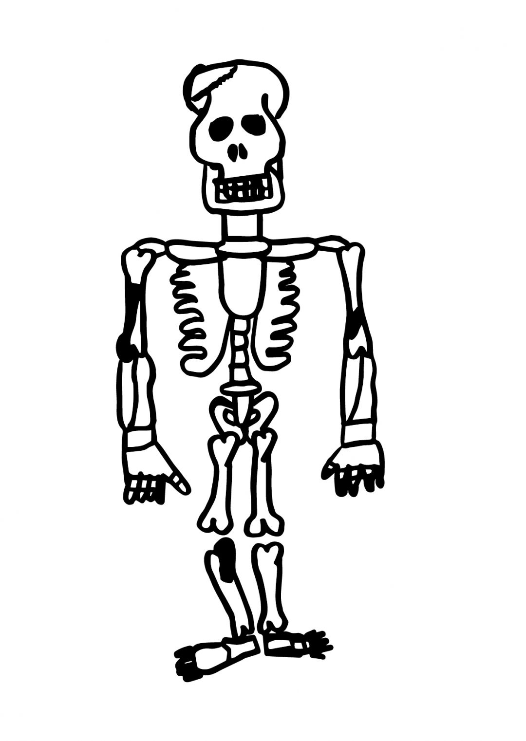 Zeichnung Skelett