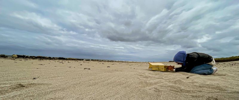 Windharfe Helgoland Düne