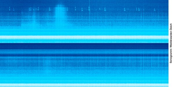 Sonogramm: Deich Weddewarden