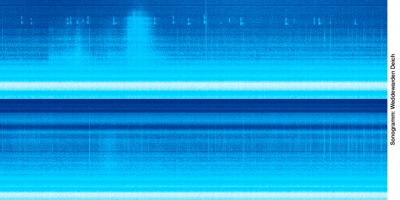 Sonogramm: Deich Weddewarden