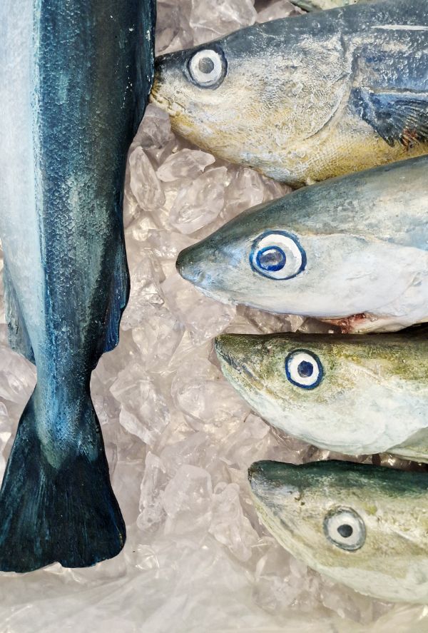 Fisch auf Eis - Modelle